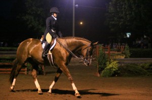 Hunter Under Saddle, Hunter Judge Canada, Hunter Judge USA, Show Ring Hunter, Show hunter Hunt Seat