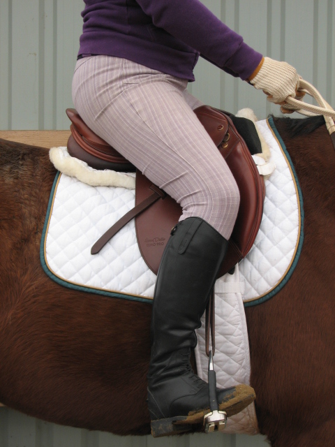 Hunt Seat Equitation What Is The Correct Stirrup Length The Hunter