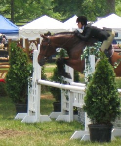 Hunter jumper, show ring hunter, hunter judge, hunter judge Canada, hunter judge USA, major hunter mistakes