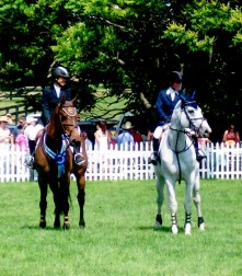 Horse grooming, horse show, horse care, hunter jumper, hunter judge, hunter judge canada, hunter judge usa, Laura Kelland-Mau