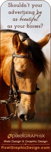 Horse show graphics, hunter judge, horse show, Laura kelland-may