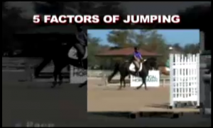 Hunter Jumper, hunter judge Ontario, hunter judge canada, hunter judge USA, horse training, horse riding, horse showing, George Morris, Laura Kelland-May, Thistle Ridge Skill Builders, 