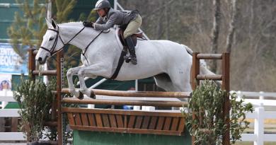 Grey horse jumping over a natural wood oxer in a hunter jumper competition