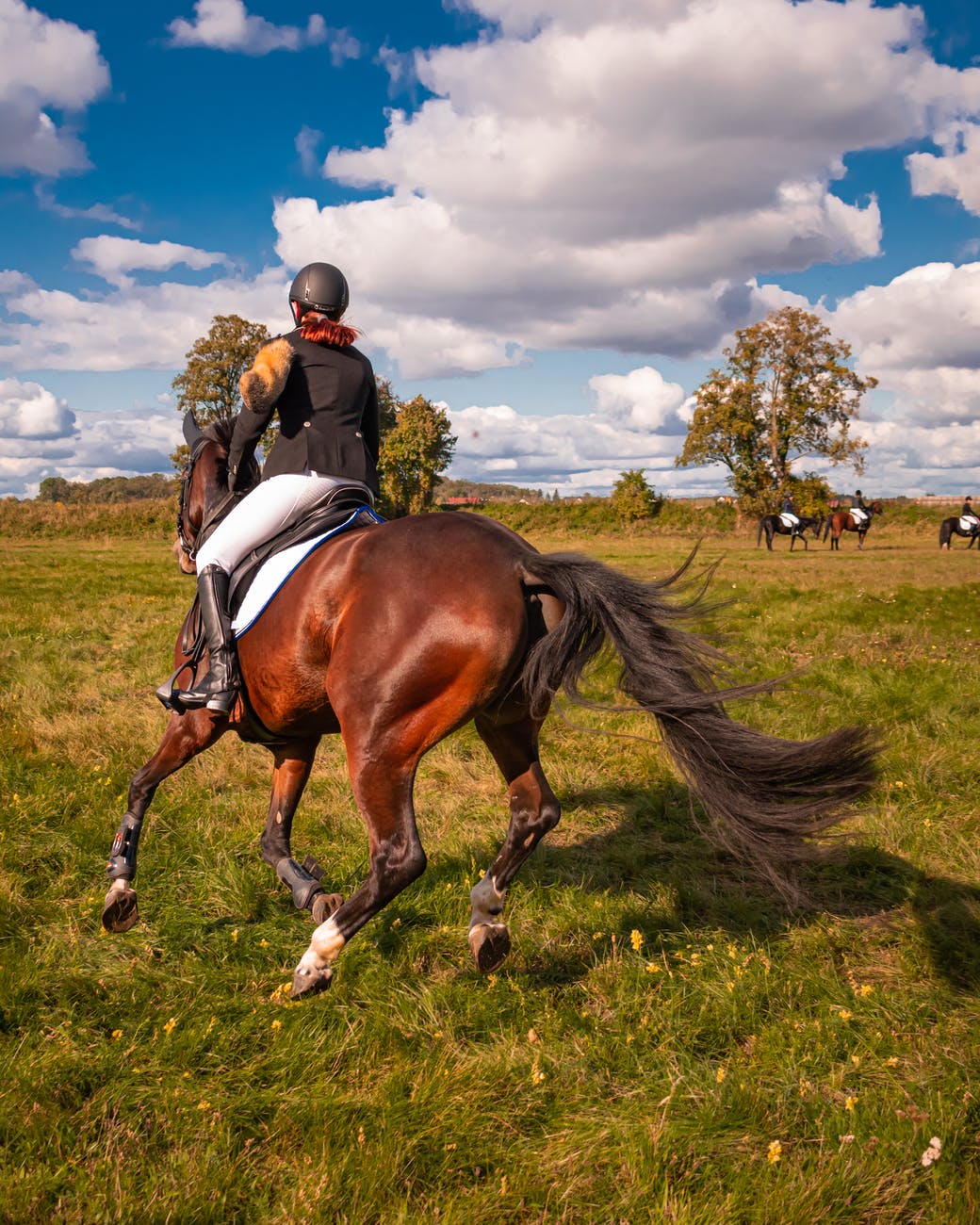 person leather jacket riding brown horse