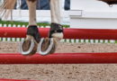view of a horse's hind legs over a set of red jumping rails