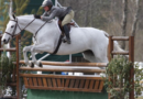 Grey horse jumping over a natural wood oxer in a hunter jumper competition