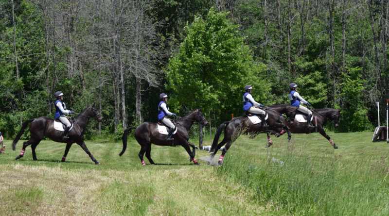 How to get the most from your riding lesson